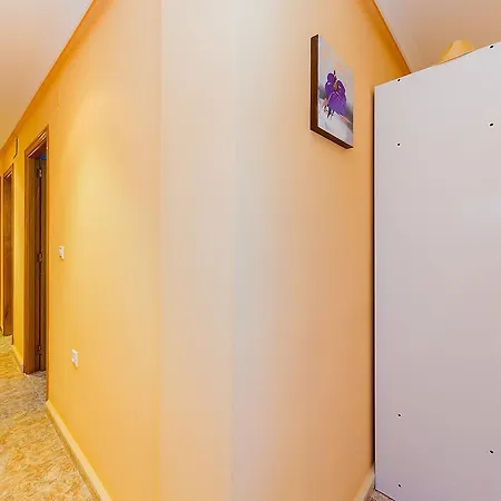 Alegria Id80 * Torrevieja